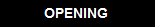 BACK TO OPENING STATEMENT